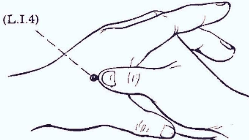 Acupuncture points for low back pain - Village Acupuncture & Massage ...